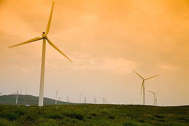 牧场物语系列发行商将于月末举行游戏发布会